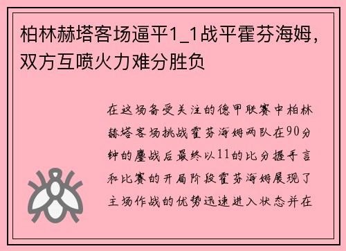 柏林赫塔客场逼平1_1战平霍芬海姆，双方互喷火力难分胜负